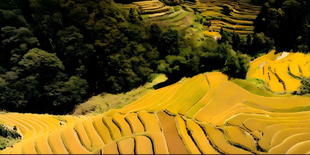 Yuanyang Hani Terrace